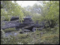 Stein i kratt - fr Vrstigen