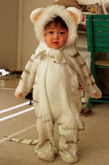 hal-tora.jpg (20640 �o�C�g)