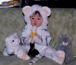 vegi-tora.jpg (10666 �o�C�g)