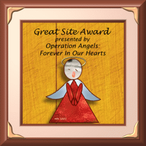 OPERATION ANGELS AWARD
