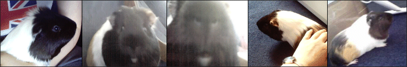 snickerindex.gif (83746 bytes)