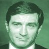 deniro.jpg (3125 bytes)