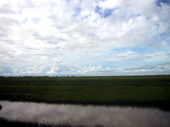 105-0525_IMG
