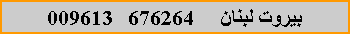 Text Box:       676264   009613 