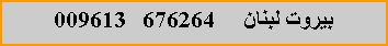 Text Box:       676264   009613 