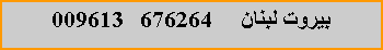 Text Box:       676264   009613 