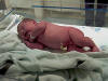 Jimmy in the hospital nursery just after birth