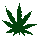 Click here for NORML...the Nat'l Org. for the Reformation of Marijuana Laws