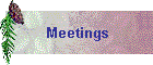 Meetings