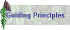 Guiding Principles