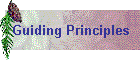 Guiding Principles