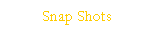 Text Box: Snap Shots
