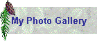 My Photo Gallery