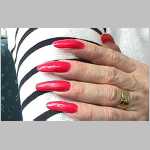 15__032_Fuchsia30.jpg