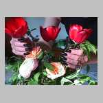 Flowers_D14.JPG