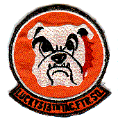 Lucky Puppy 313th Squadron Patch