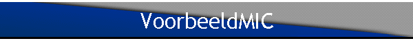 VoorbeeldMIC