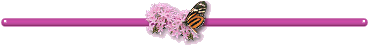 divider1.gif (3757 bytes)
