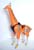 long01