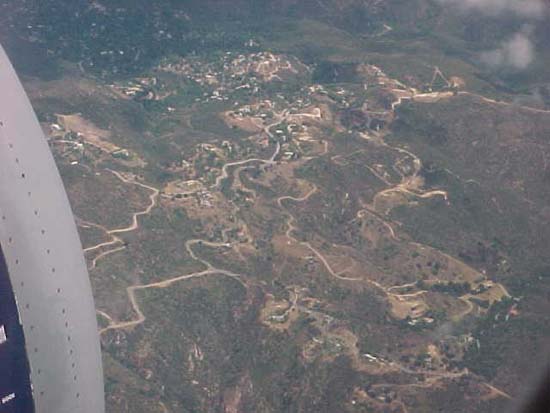 lax-1