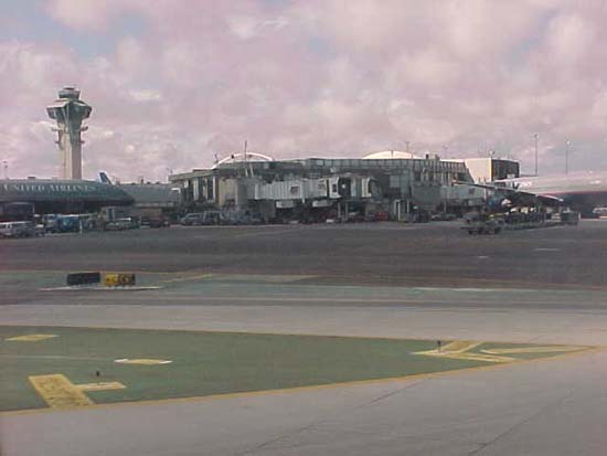 lax-13