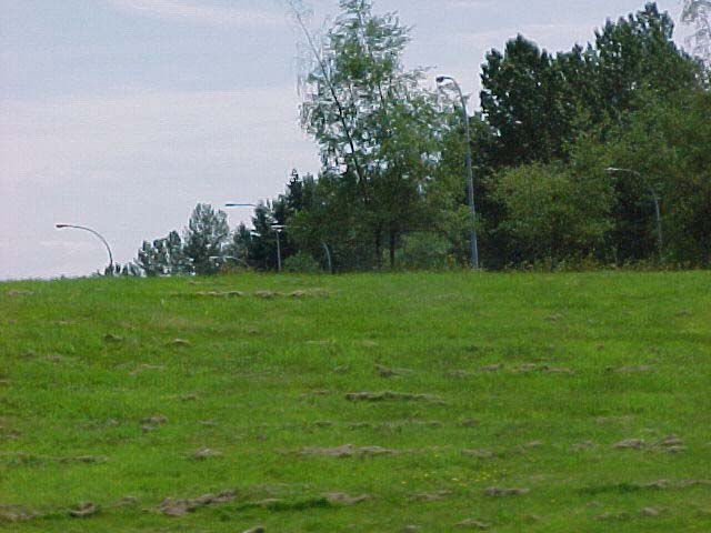 MVC-150F