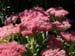 DSCF0234