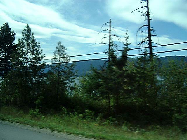 DSCF0081