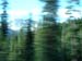 DSCF0102