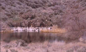 refuge2.jpg (58237 bytes)