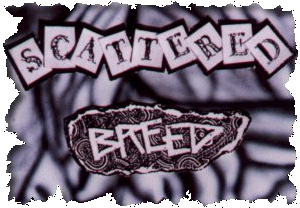 Scattered Breed