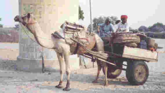 Luxury Transport for the Musicians