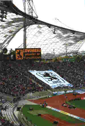 The Home Fans go Wild