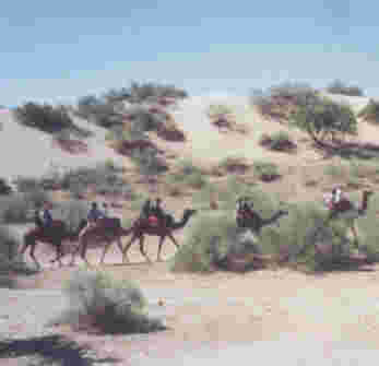 Ships of the Desert