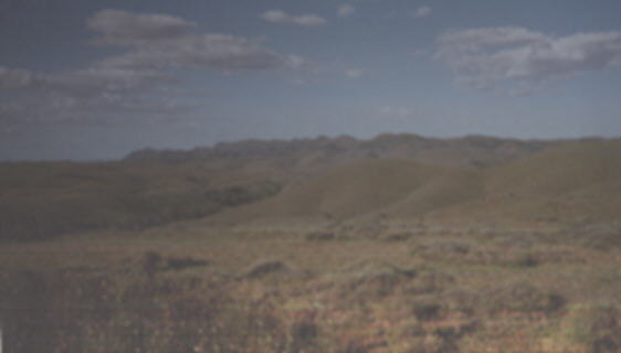 View of Wilpena Pound