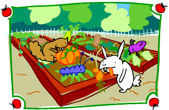 vegetariancp.gif (32273 bytes)