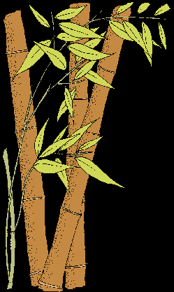 Bamboo