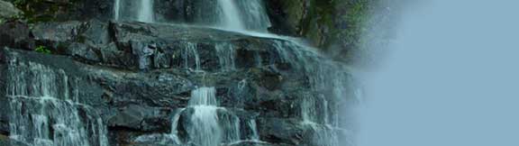 Woodland Falls
