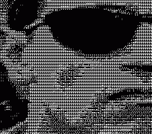 [Arnold Schwarzenegger in text]