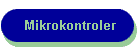 Mikrokontroler