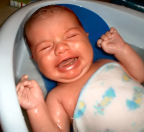 Not at ALL happy with his first bath! (19kb)