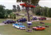 The General Lee in the Tree