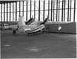 grummangoosebacksmall.jpg (6349 bytes)
