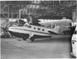 grummangoosefrontsmall.jpg (6528 bytes)