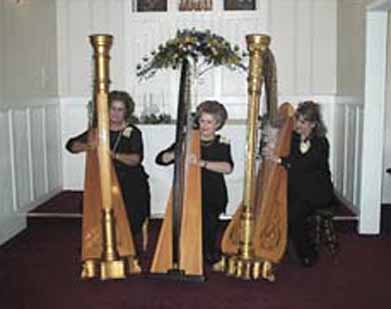 harps3 copy.jpg (19424 bytes)