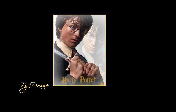 Harry Potter Land