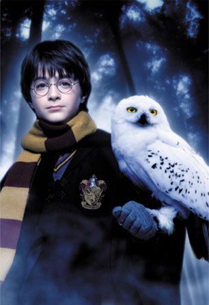Harry Potter and Hedwig