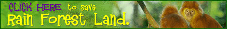 Save the rainforest, the big cats and the panda, and fight cancer in a few clicks!