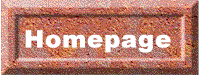 hombot.jpg (7012 bytes)