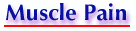 muscle.GIF (5337 bytes)